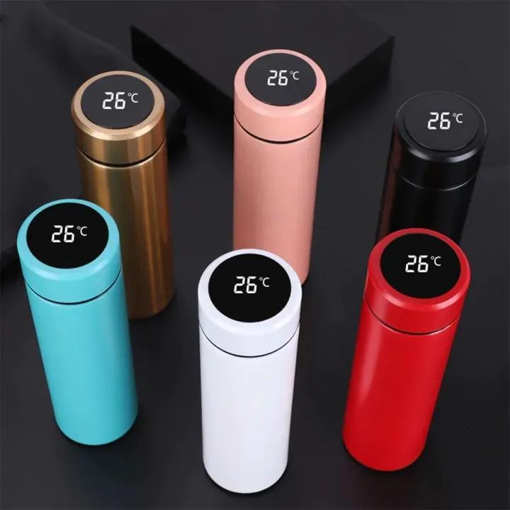 Temperature water bottle