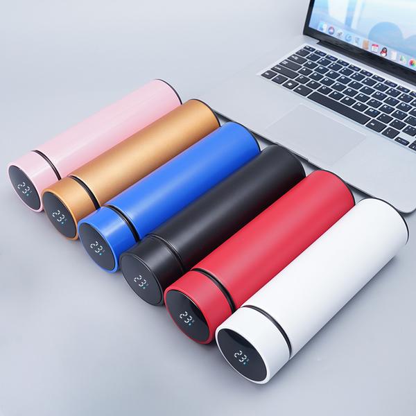Temperature water bottle