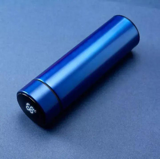 Temperature water bottle